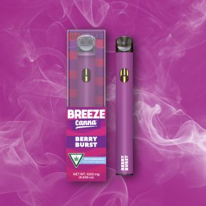 Berry Burst Classic Vape