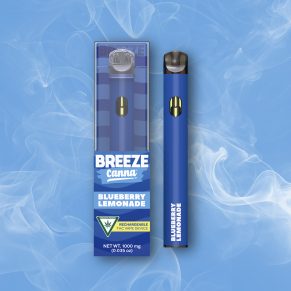 Blueberry Lemonade Vape